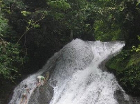 古东森林瀑布群景区