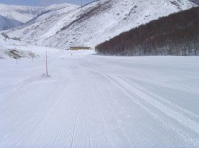 多乐美地滑雪场