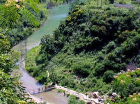 高河白龙庙原始森林风景区