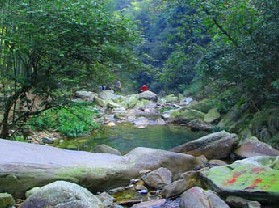 药菇山