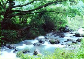 石门国家森林公园