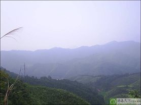 古田自然保护区