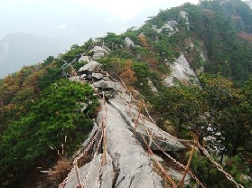 卧龙岗景区