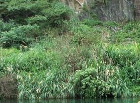 夹溪河漂流