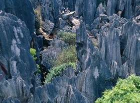 丫山花海石林