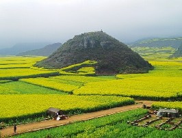 桂子山烈士陵园