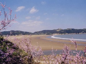 桃花岛·桃花寨景区