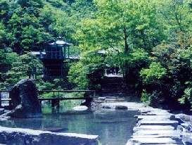 下渚湖湿地风景区