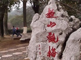 超山风景区