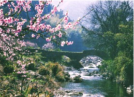 桃花源景区