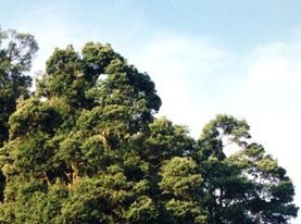 茫荡山风景名胜区