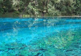 九寨沟天鹅湖