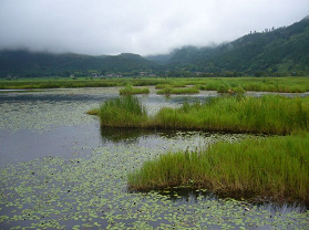 北海湿地