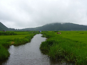 腾冲北海湿地