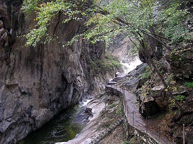 太平峪森林公园