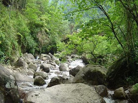 陕西药王山